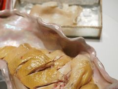 -领鲜天下·焗海鲜·花胶鸡(天目里店)