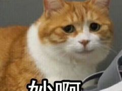 -1点点(银座和谐广场店)