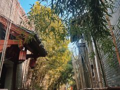 -绳金塔