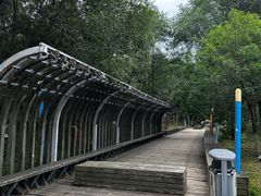 -长白岛森林公园