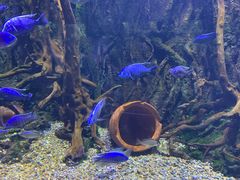 -华夏文旅海洋公园