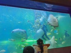 -洛阳龙门海洋馆