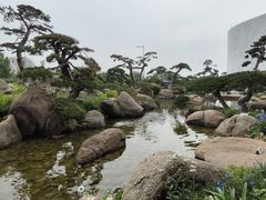 -罗红摄影艺术馆