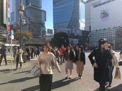 -涩谷区