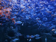 -成都浩海立方海洋公园