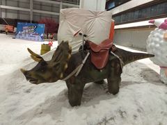 乔波室内滑雪馆-乔波室内滑雪场