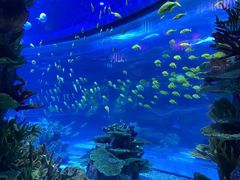 -欢乐海岸海洋奇梦馆