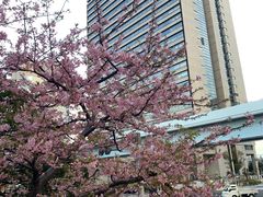 -台场海滨公园船码头