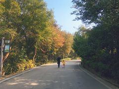 -南京市江宁方山