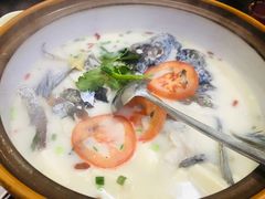 -全乐鱼馆·淳牌有机鱼直营店