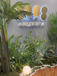 -八佰伴8008星级形象店