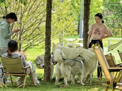 -爪吧宠物乐园 (温榆河示范区店)