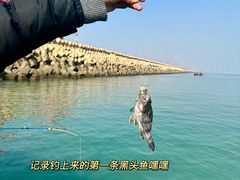 -日照世帆赛基地
