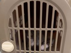 -pd派德宠物中心医院24H急重症·眼科中心·血液透析中心(嵩山北路店)