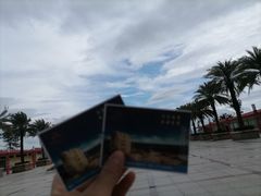 -玫瑰海岸文化旅游度假区