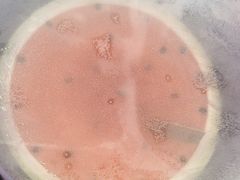 -元祖食品GANSO(星沙店)