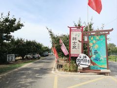 -韩士良采摘园