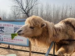 -秦皇岛野生动物园