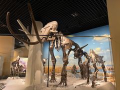 -国家自然博物馆