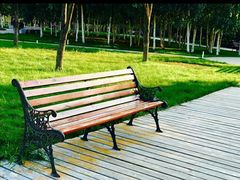 -长春公园(普阳街道)