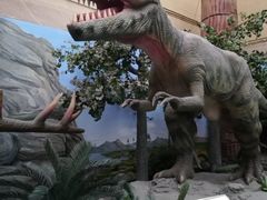 -国家自然博物馆