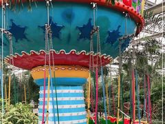 -南宫五洲植物乐园