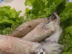 -草原塞蛮羊火锅城(港湾店)