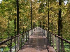 -黄海国家森林公园