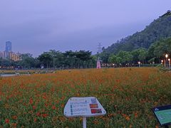 -顺峰山公园