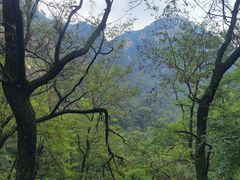 -泰山风景名胜区