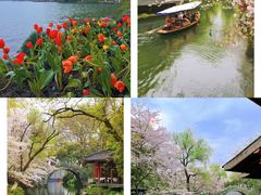 -湖畔居茶楼(湖滨店)