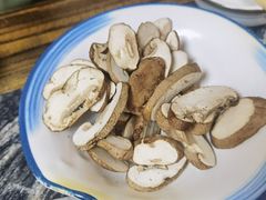 -乳仔牛牦牛汤锅 烤羊排(松潘古城店)