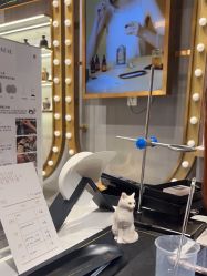 -香遇沙龙香水·调香·团建