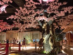 -蓝鲸湾汤泉(包河店)