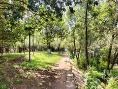 -长白岛森林公园