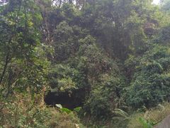 -广州市帽峰山景区