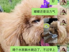 -爱侣宠医·鹦鹉专科·小型哺乳类·异宠专科(灵石路店)