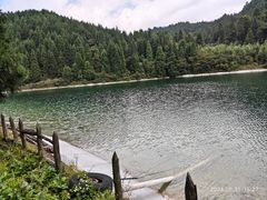 -武陵山森林公园
