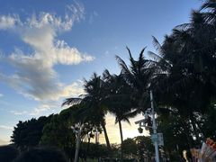 -深圳湾公园(南山区)
