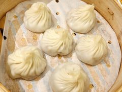 鲜肉小笼-苏小柳手工点心(人民广场分院)