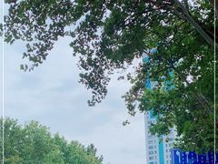 -中国联通(纬二路营业厅)