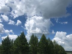 -塞罕坝国家级自然保护区