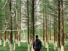 -艾溪湖湿地公园