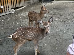 -成都欢乐谷