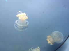 -常州海昌海洋探索馆