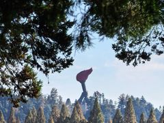 -全国青少年井冈山革命传统教育基地