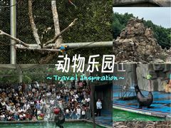 -合肥野生动物园