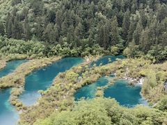 -九寨沟-树正沟