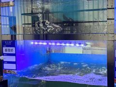 -聚宾楼·烤鸭·家宴(科技三路店)