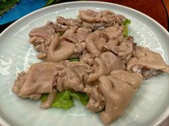-丁老爷子苏香圆